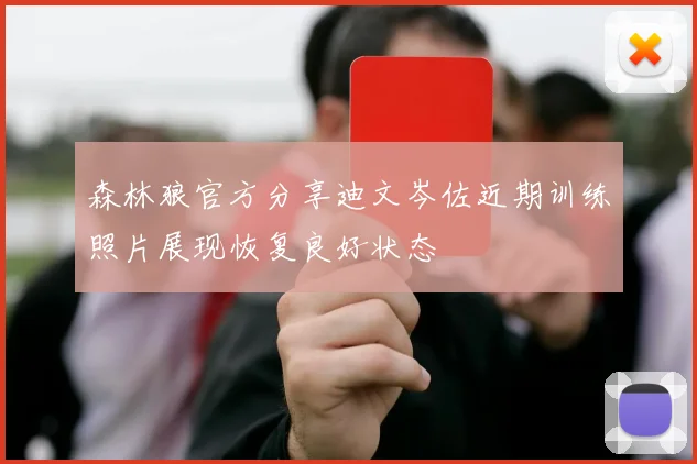 森林狼官方分享迪文岑佐近期训练照片展现恢复良好状态